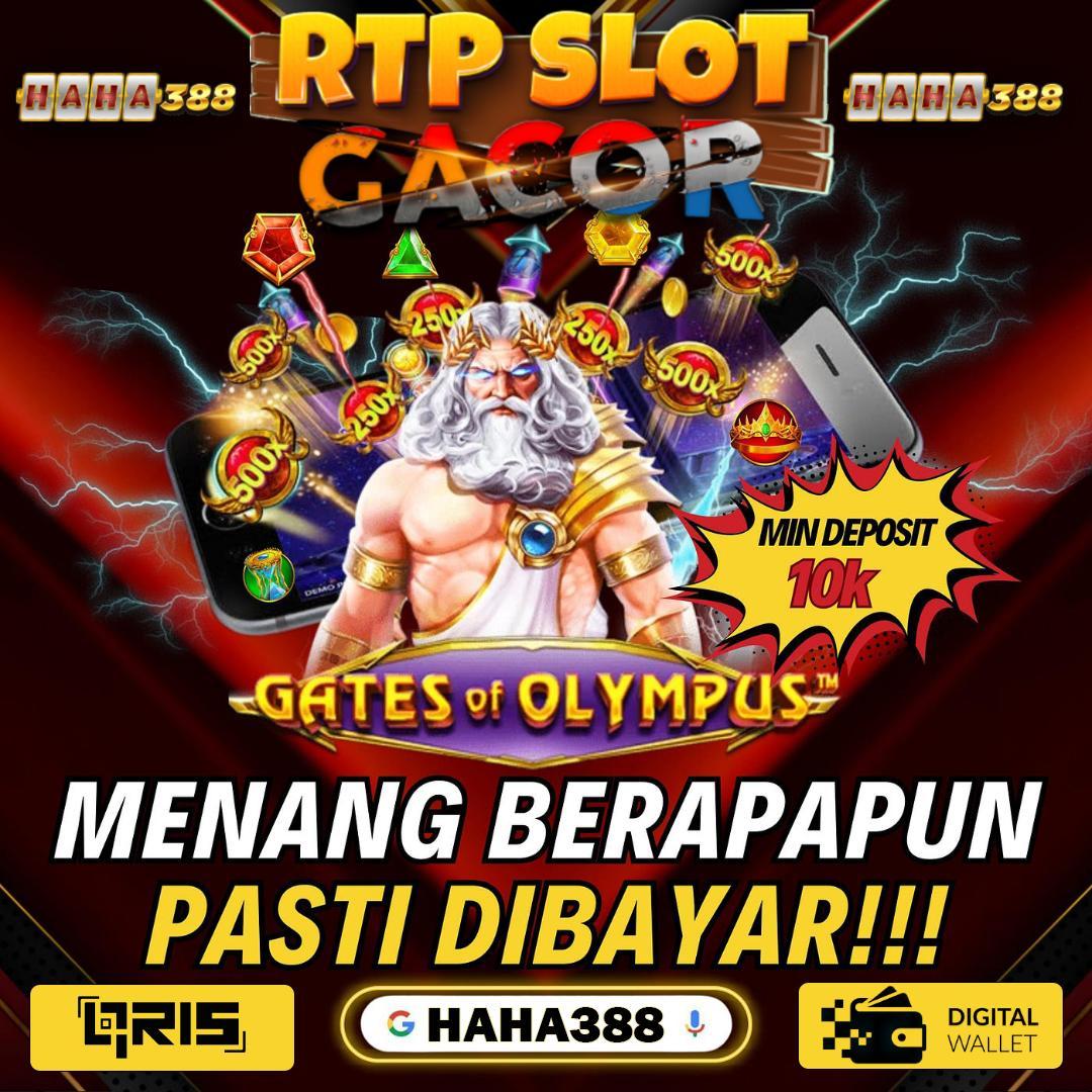 Bandar Habanero Alternatif Terpercaya untuk Para Pecinta Judi Online